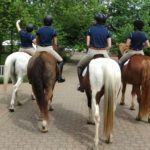 Horses
