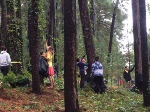 Volunteers removing ivy.