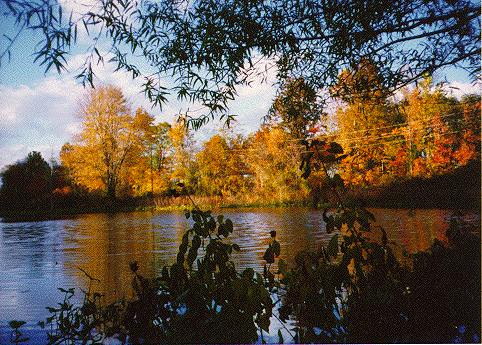 Autumn on Gayle's Pond