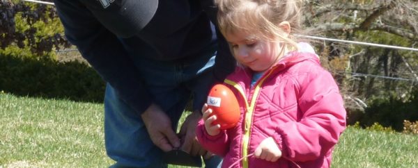 Egg Hunt_news