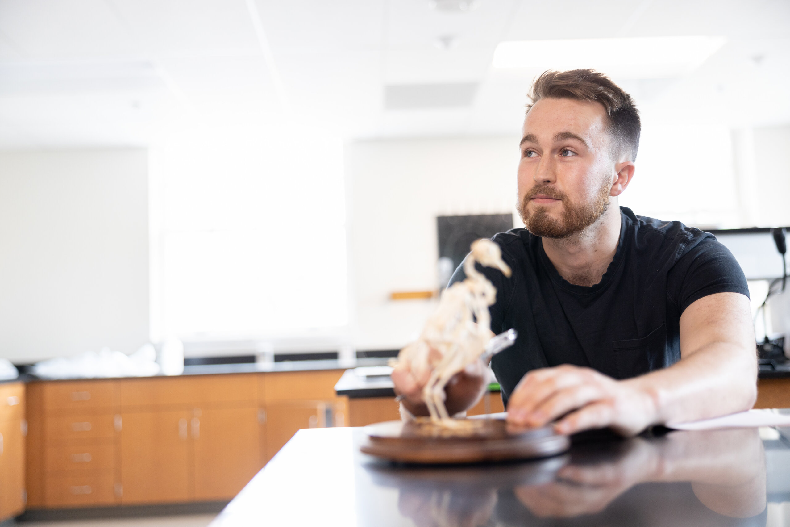 Student sitting in a classroom with an animal skeletal model in front of them
