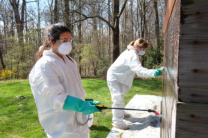 Historic Preservation students work on cleaning the Frank Lloyd Wright designed Pope Leighey house, Saturday April 11, 2015. (Photo by Norm Shafer).