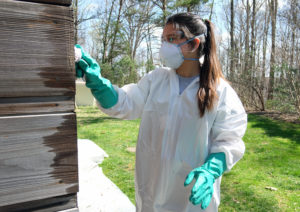 Historic Preservation students work on cleaning the Frank Lloyd Wright designed Pope Leighey house, Saturday April 11, 2015. (Photo by Norm Shafer).