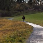 person walking on walking path