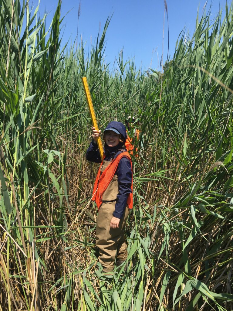 Student standing in a marsh on Shark Tooth Island with a stadia rod.
