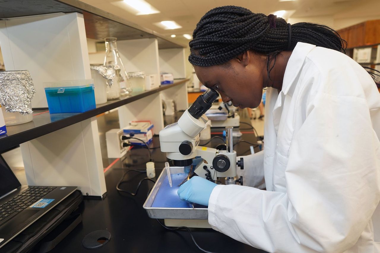 Abby Delapenha looking into a microscope