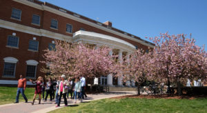 Spring features at UMW, Friday April15, 2016. (Photo by Norm Shafer).