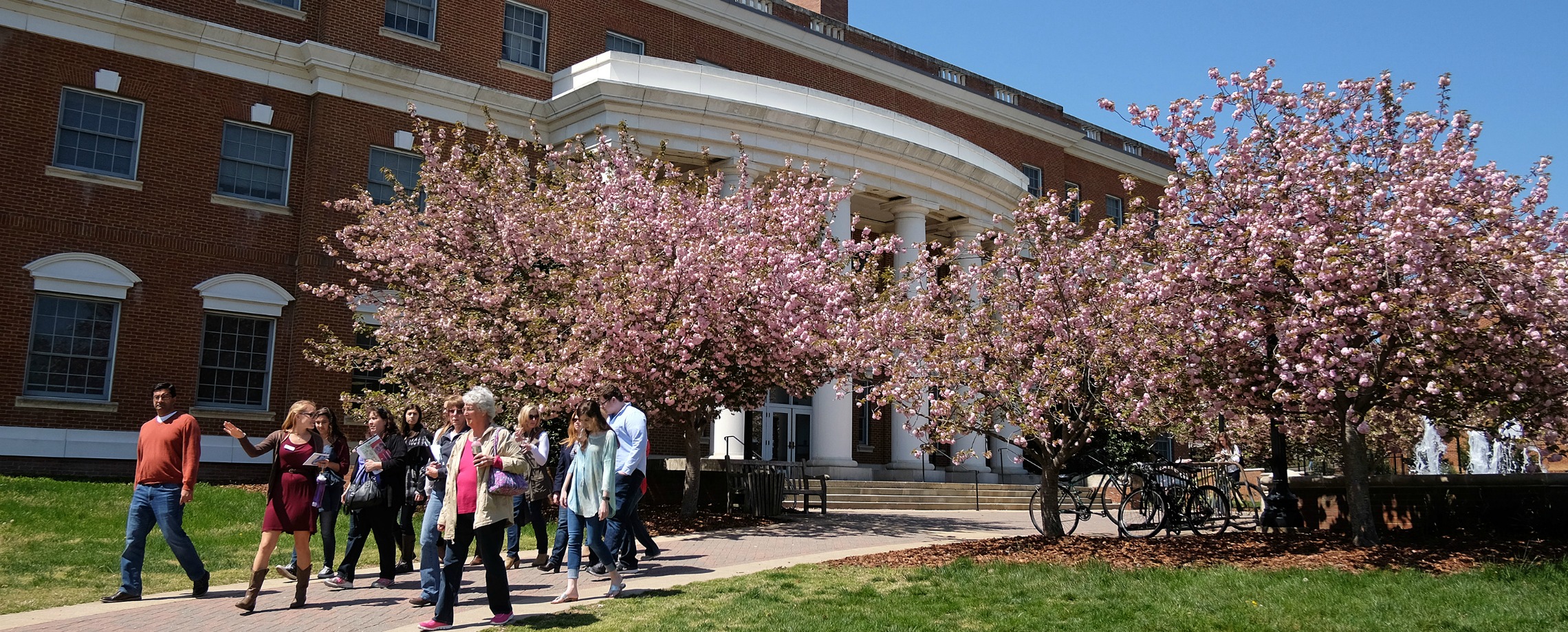 Princeton Review, Washington Monthly Rank UMW Among Nation’s Best News