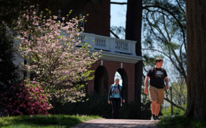 Spring features at UMW, Friday April15, 2016. (Photo by Norm Shafer).