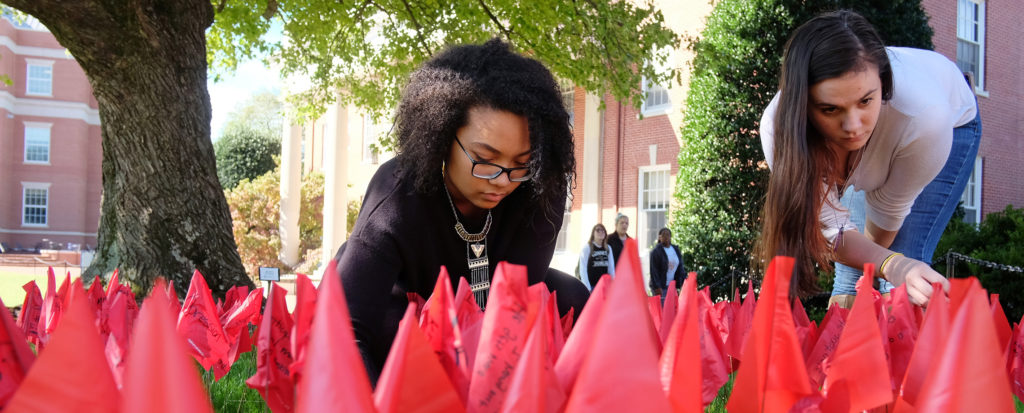 Red domestic violence flags