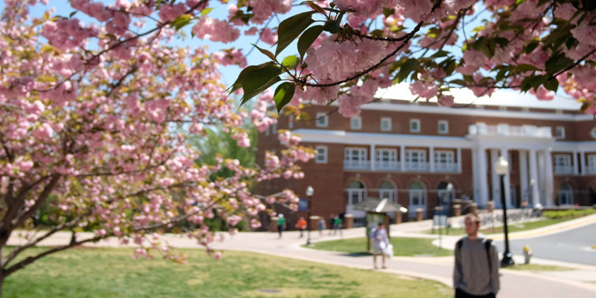 UMW has been designated a 2017 Tree Campus USA by the Arbor Day Foundation.