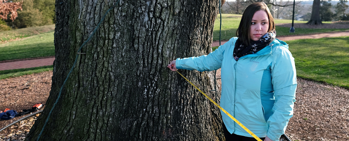 On Arbor Day, UMW celebrates its Tree Campus USA status and ongoing tree-mapping project. Photo by Norm Shafer.