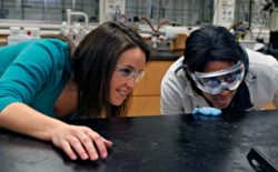 Nicole Crowder, assistant professor of chemistry works with students on a research project. (Photo by Norm Shafer).