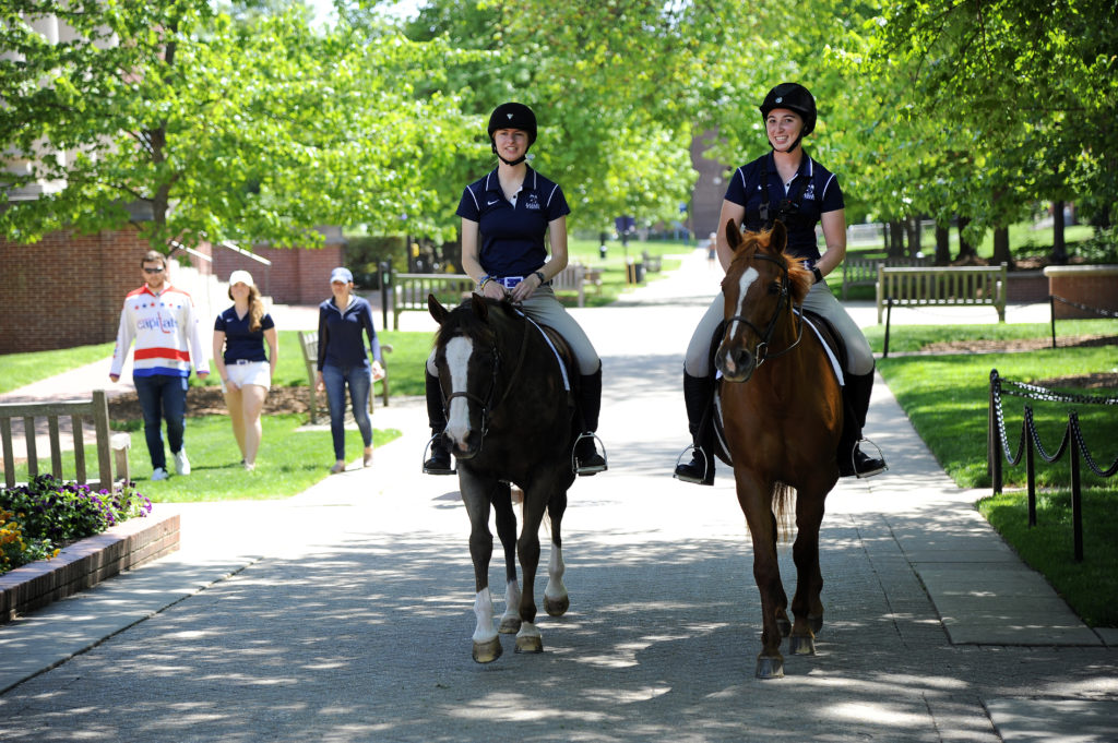 Meredith Gregory ’18 and Emily Rothstein ’18, who will graduate Saturday, take a final ride across campus Tuesday, May 8, to commemorate four years on UMW's Equestrian Team. (Suzanne Rossi)