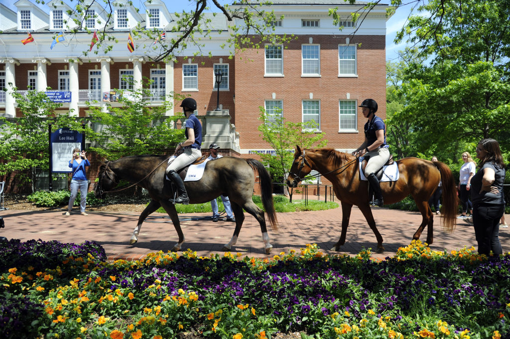Meredith Gregory ’18 and Emily Rothstein ’18 joined UMW's Equestrian Team as freshmen. 