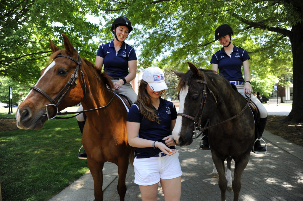 Horses Prissy and Wilbur, with riders Emily Rothstein '18 and Meredith Gregory ’18, pause for a snack on Campus Walk Tuesday, May 8.