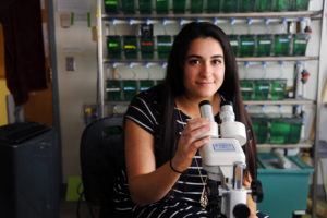 Mangano pursued independent research at UMW, alongside biology professor Dianne Baker. Mangano used zebrafish to study the implications of an environmental toxin on Alzheimer's disease. Photo by Suzanne Carr Rossi.