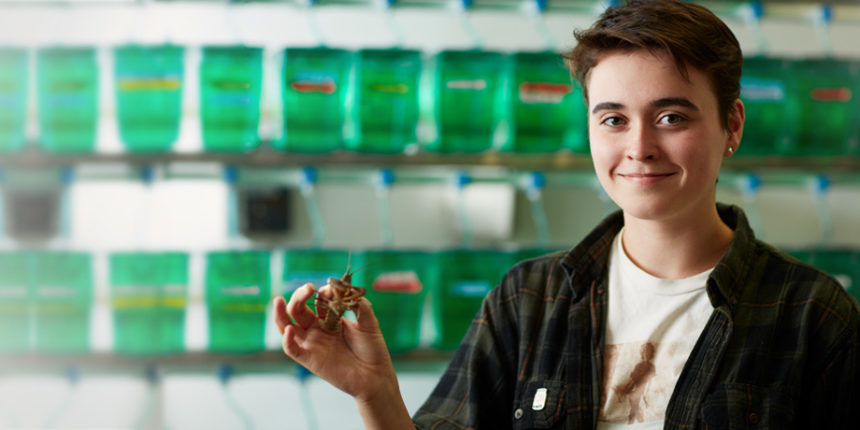 STEM students in this year's Summer Science Institute, a 10-week research opportunity, tackled topics that included cell death, climate change and the effects of a common pesticide on crayfish (pictured.)
