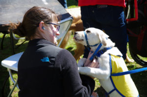 There was plenty of food, fun - and furry friends - at a barbecue on Ball Circle on Good Neighbor Day. Photo by Noah Strobel.