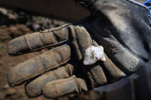 Students research projectile points like this one, found at the Aquia Creek dig, to determine when they originated and draw conclusions about the past. Photo by Suzanne Carr Rossi.