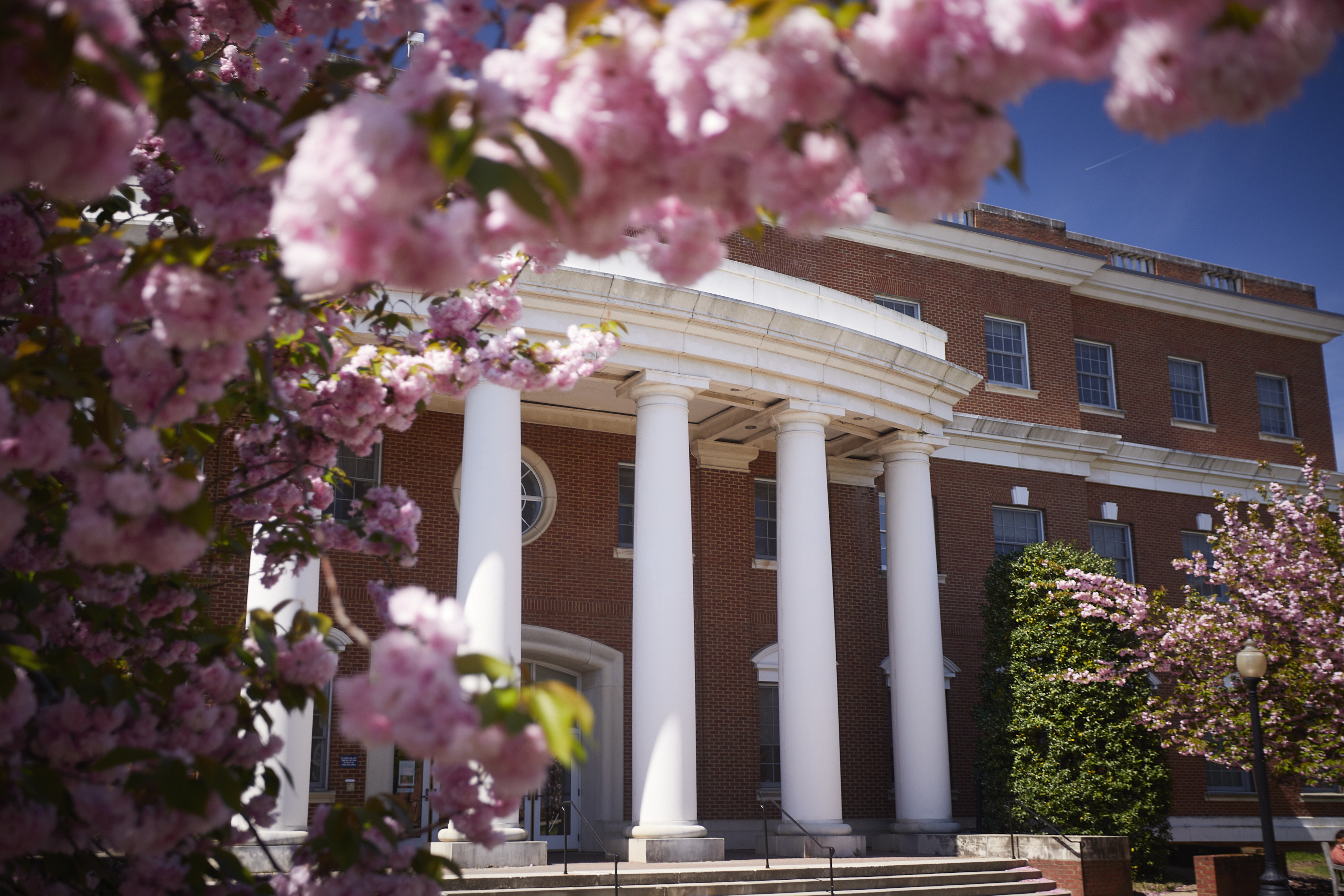 A building on UMW's campus with trees and blooms surrounding it