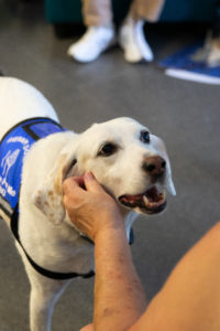 DPL hosted a "Pet-a-Doggy Lab" so attendees could pet therapy dogs when topics were particularly intense or overwhelming. Photo by Matthew Binamira Sanders.