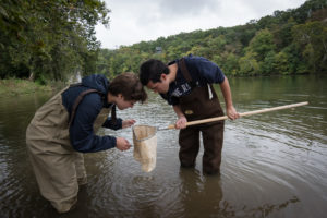 SMSC students collect water samples from the Chesapeake Bay watershed. This new partnership comes at the same time as the new conservation biology major at Mary Washington. Photo by Evan Cantwell/George Mason University.