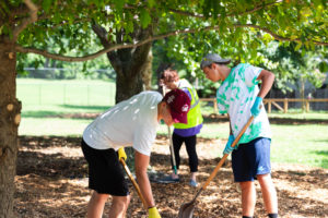 Mary Washington freshmen team up with Tree Fredericksburg to mulch trees as part of the CCE's Day of Service. Photo by Matthew Binamira Sanders. 