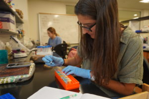 UMW senior Kelly Flynn works on a research project in Jepson Science Center. The recently completed renovations added 16 new labs to the center. Photo by Suzanne Carr Rossi.