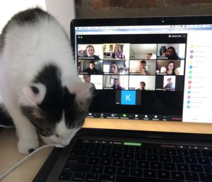 Pets and kids are often featured in images of UMW professors' remote teaching experiences. Here, Puffin peeks in on History Professor Krystyn Moon's 400-level seminar.