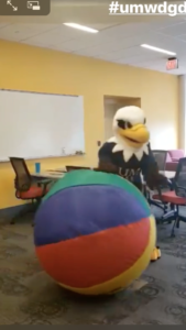 UMW mascot Sammy D. Eagle caught this big beach ball from one side of his screen and tossed it off the other during the "spread the spirit" challenge, part of this year's virtual Devil Goat Day events.