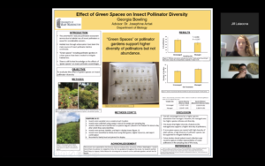 Sophomore Georgia Bowling's poster showcases her research into the effect of green spaces on insect pollinator diversity, which she completed with Assistant Professor of Biology Josephine Antwi. Here, Bowling explains her findings to Tyler Frankel, an assistant professor of Earth and environmental science.