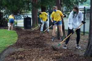 UMW students spread mulch with Tree Fredericksburg this fall as part of COAR's Into the Streets service project. Many UMW students volunteer or intern with green community partners in the Fredericksburg area. Photo by Suzanne Carr Rossi.