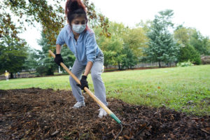 UMW student Yamila Merida spreads mulch for Tree Fredericksburg. Photo by Suzanne Carr Rossi.