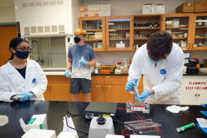 From left to right: First-year students Arianna Chase, Andrew Cooper and Mitchell Freitag conduct an experiment in a lab in the Jepson Science Center. Photo by Suzanne Carr Rossi.