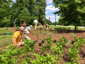 Students, faculty and staff plant the large pollinator garden near Goolrick Hall and the Anderson Center in spring 2019. The garden was designed by UMW Landscape and Grounds Manager Holly Chichester.