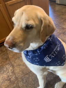 Layla models her Mary Washington Alumni bandanna for #MaryWashDay on April 13.