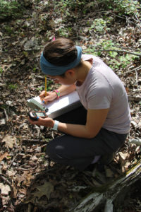 "I was drawn to this area a bit out of serendipity — SMSC sets all students in my program up with researchers every semester to work on whatever project someone is doing that is available," said Ramirez, who studied ethnobotany. "When we learned about the projects I requested this one, and I was matched with the person who designed it!"
