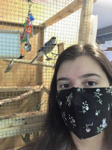 Junior Maddie Lichter, a conservation biology major and data science minor, is exploring the effect of habitat conditions on the nestlings of the American kestrel, a small falcon species in decline. Photo Credit: Smithsonian-Mason School of Conservation.