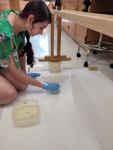 Junior Andrea Waltrip conducts flight tests on fruit flies, a model organism for studying myotonic dystrophy.