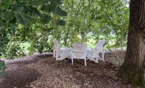 For the assignment, Victoria Gallaway shared a photo of Adirondack chairs nestled in a quiet corner of the Mary Washington campus.