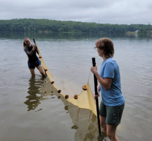 Student researchers Carolyn Willmore and Talia Tanner seine fish (a method of fishing that employs a net) for banded killfish near a Virginia power plant. They worked with Assistant Professor of Earth and Environmental Sciences Tyler Frankel. #MaryWashDay #TogetherUMW