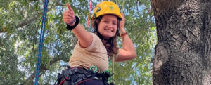 A student climbs during Tree Festival.