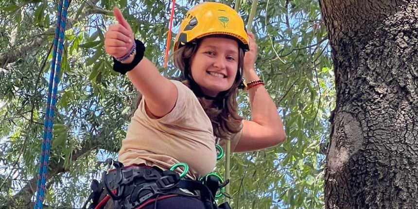 A student climbs during Tree Festival.