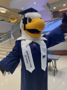 Sammy D. Eagle is ready for UMW Commencement 2023!