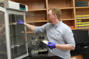 Miles sorts through pieces of soybean leaves that have been preserved for the research he's conducting with the guidance of Assistant Professor of Biological Sciences Josephine Antwi Photo by Karen Pearlman.