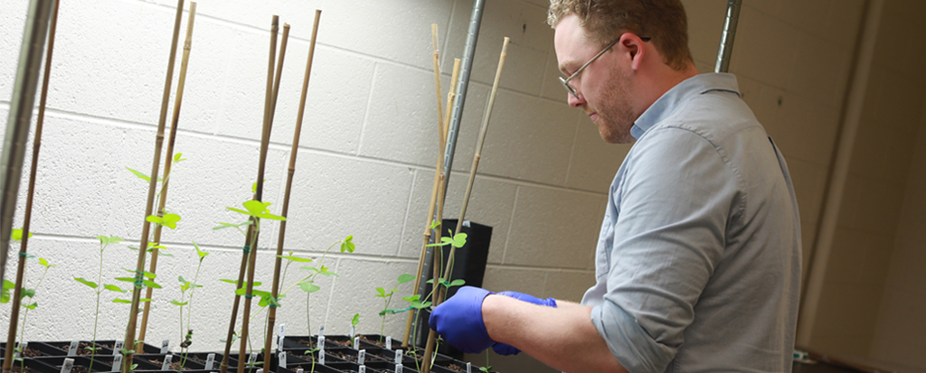 Student Research Heats Up At UMW Summer Science Symposium News student-research-heats-up-at-umw-summer-science-symposium-news