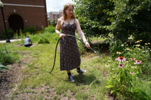 UMW sociology major Maggie Dye waters plants in UMWs Pollinator Garden. Part of her work with fellow sociology major Viktor Newby and faculty mentor Associate Professor of Sociology Eric Bonds was to continue the process of advocating for Mary Washington to be named a Bee Campus. Photo by Suzanne Carr Rossi.