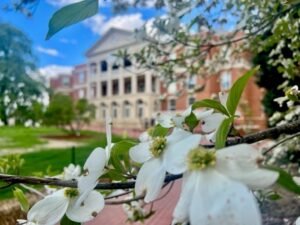 UMW is transitioning to landscape equipment based on cleaner technologies, exchanging noisy, gas-powered mowers and blowers with quieter, Earth-friendly models, which were tested out during a field-day event this spring. Photo by Holly Chichester-Morby.