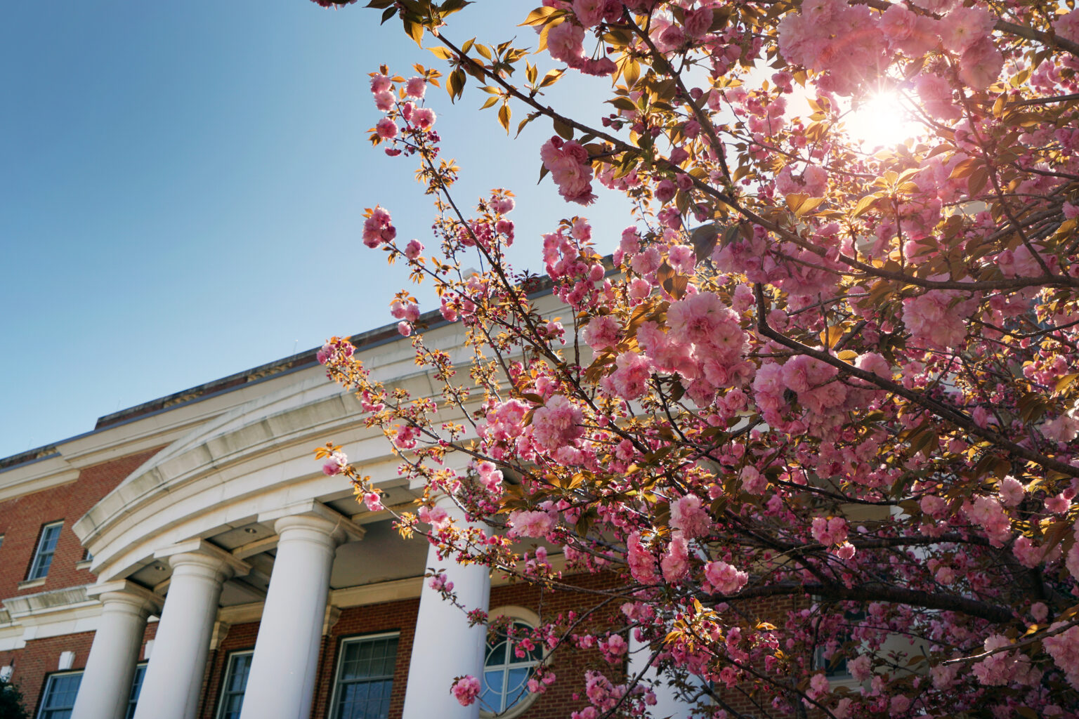 UMW Grads Advance Careers and Education Following Commencement - News